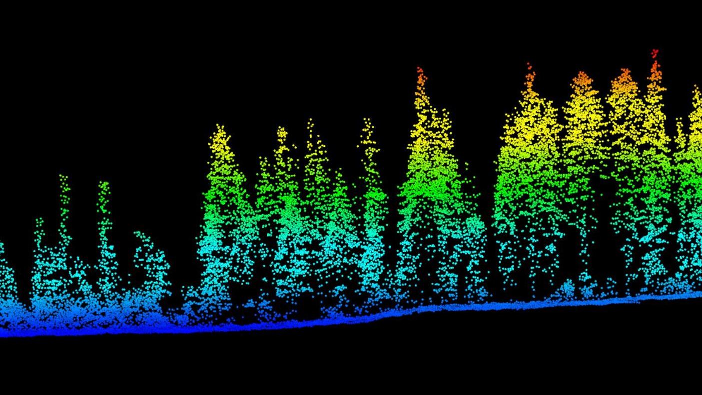 Forest Ecology and Architecture Forest Ecology and Architecture